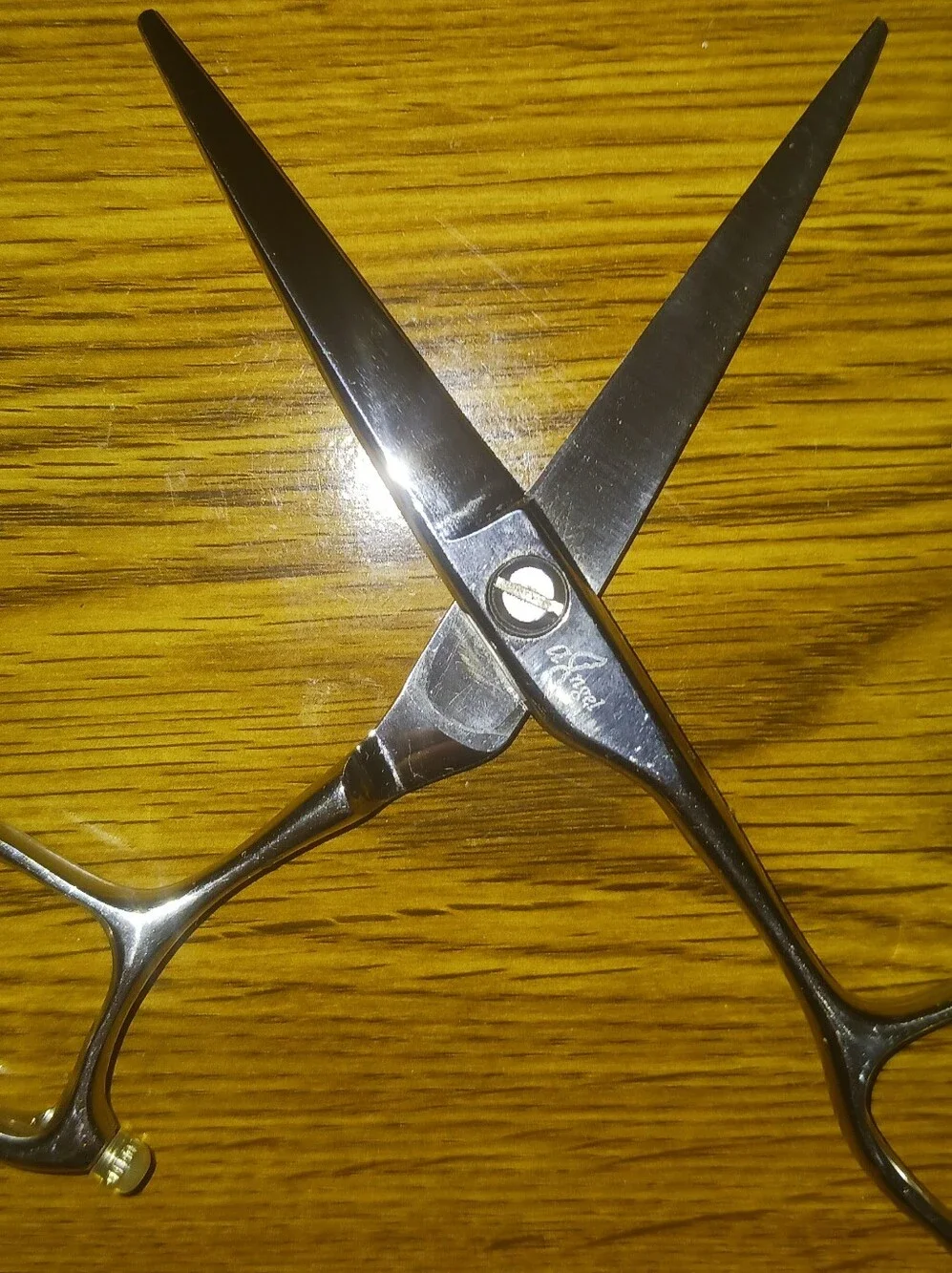 Hairdressing/Barber Scissors